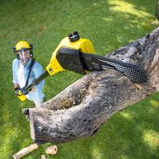 Best Lawn Pest Prevention  in Sag Harbor, NY