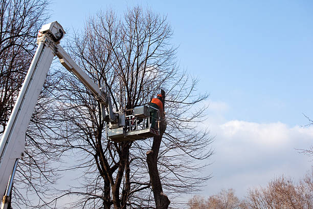 Landscape Design and Installation in Sag Harbor, NY